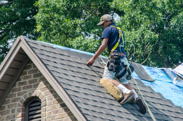 Professional Roofing Contractor in Dayton, OR